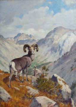  Montes Pintura - rungius cimarrón y cabra montés